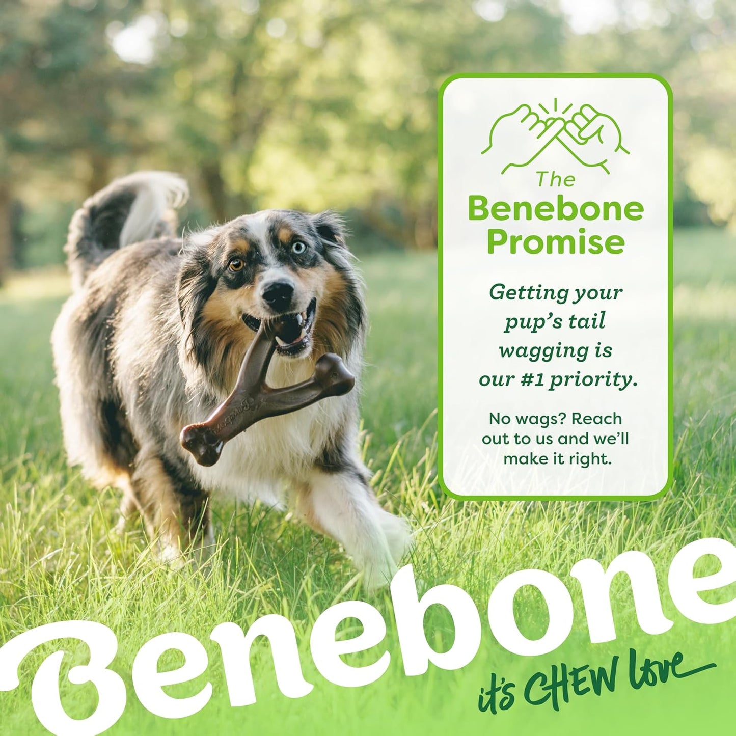 HOTBenebone Wishbone Durable Dog Chew Toy for Aggressive Chewers, Real Bacon, Made in USA, Medium