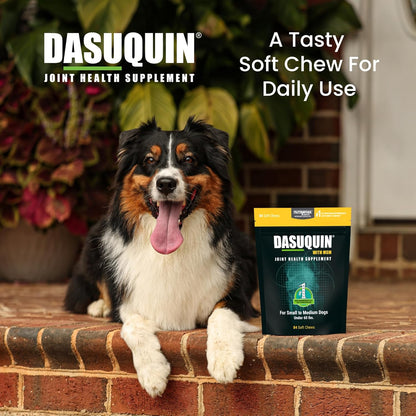 HOTNutramax Dasuquin MSM Joint Supplement, Small/Med Dogs, Soft Chews, 84ct | Glucosamine and Chondroitin, ASU & MSM, Dog Joint Support, For Dogs under 60 lbs, Vet-Recommended, Soft Chews