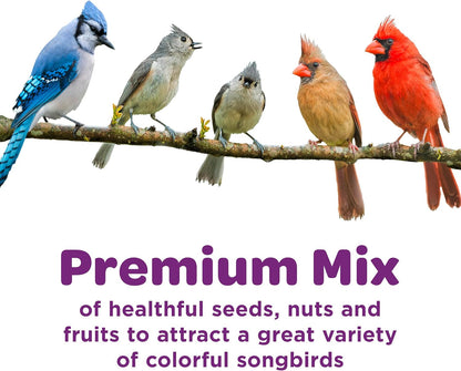 HOTKaytee Nut & Fruit Wild Bird Seed, 5 lb