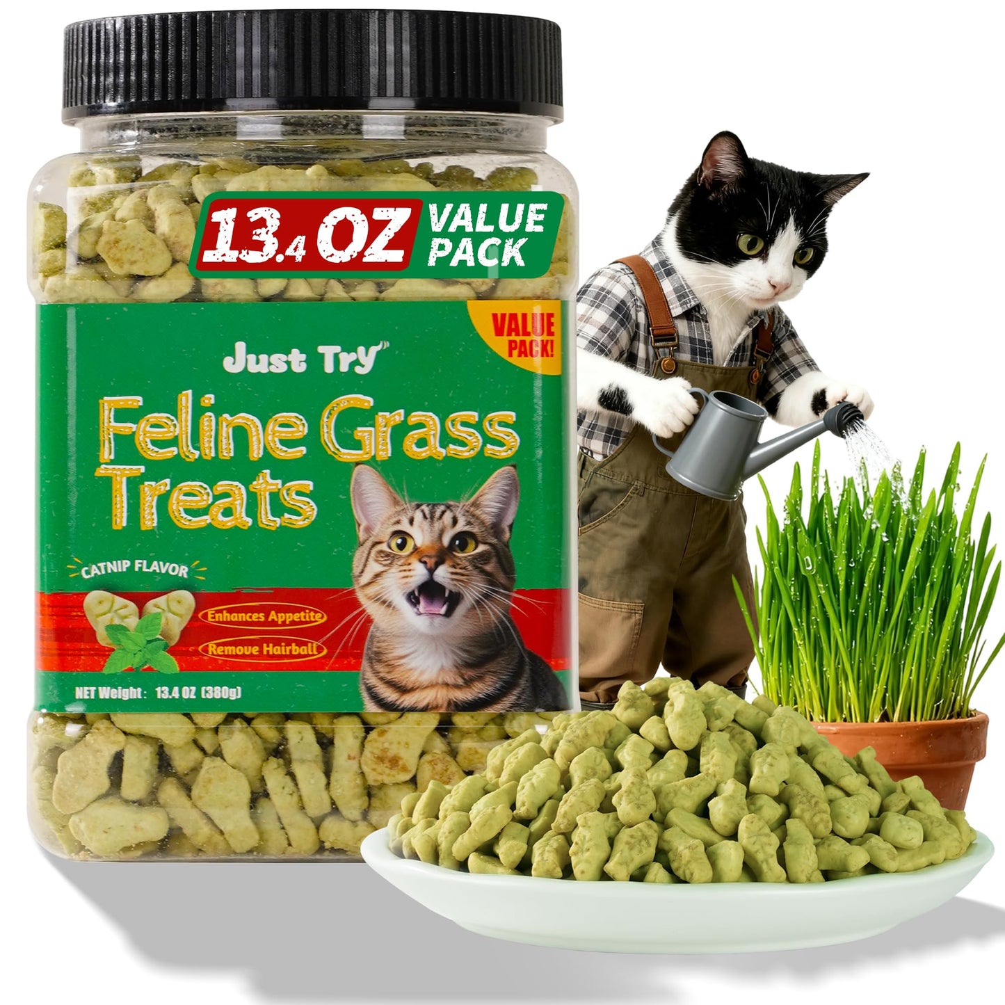 HOTJust Try Cat Treats for Indoor Cats Hairball Control Natural Salmon Healthy Cat Grass Treats Kitten Snacks Training Biscuits Catnip for Cats Dental Care 13.4 OZ