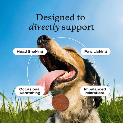 HOTPetLab Co. Allergy & Immune Probiotic Chews, 30 Soft Chews, Pork | Omega-3s, colostrum and prebiotics to support yeast balance, skin health and immune function