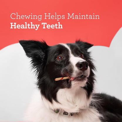 HOTDreamBone Twist Sticks Chews for Dogs, Treat Your Dog to Easy-to-Digest Rawhide-Free Chews Made with Real Vegetables and Chicken, 50 Count