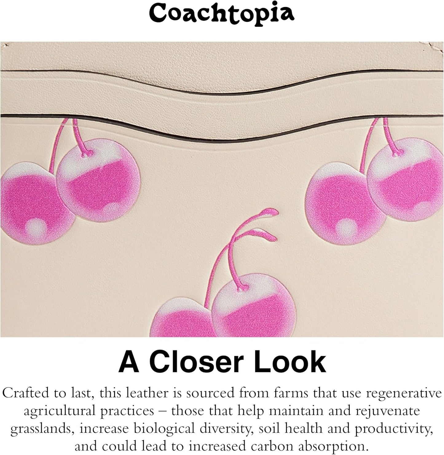 HOTCOACH for The Summer I Turned Pretty Wavy Card Case with Cherry Print