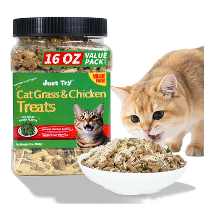 HOTJust Try Cat Treats for Indoor Cats Hairball Control Natural Salmon Healthy Cat Grass Treats Kitten Snacks Training Biscuits Catnip for Cats Dental Care 13.4 OZ