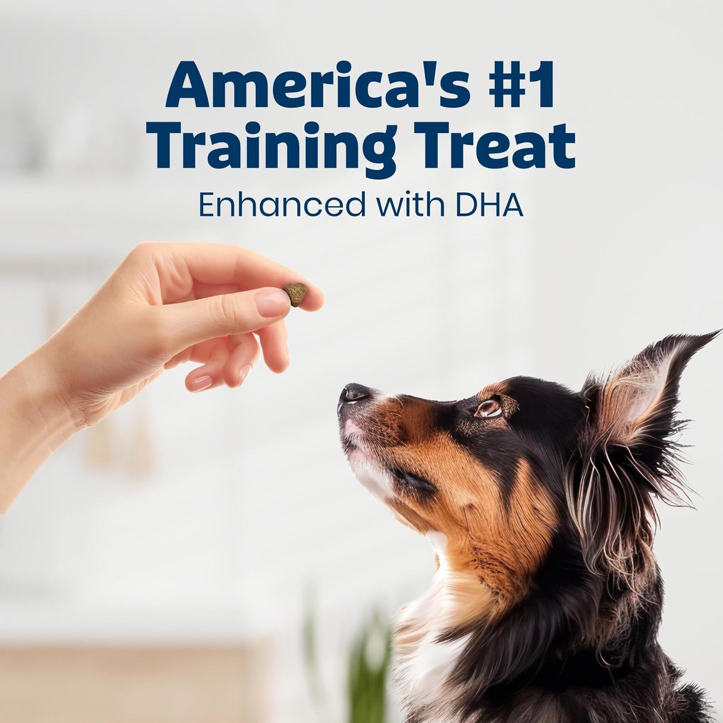 HOTBlue Buffalo Bits Chicken Soft & Chewy Dog Treats, Bite-Sized for Training, Made with Real Chicken & Enhanced with DHA, Heart-Shaped Dog Treats, Made in the USA with Natural Ingredients, 19 oz.
