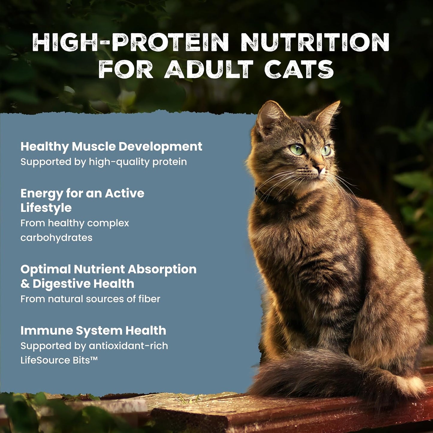 HOTBlue Buffalo Wilderness with Chicken Natural High-Protein Grain-Free Dry Food for Adult Cats, Real Chicken First, Antioxidant-Rich LifeSource Bits Support Immunity, Promotes Strong Muscles, 12 lbs.