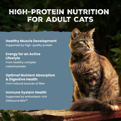 HOTBlue Buffalo Wilderness with Chicken Natural High-Protein Grain-Free Dry Food for Adult Cats, Real Chicken First, Antioxidant-Rich LifeSource Bits Support Immunity, Promotes Strong Muscles, 12 lbs.