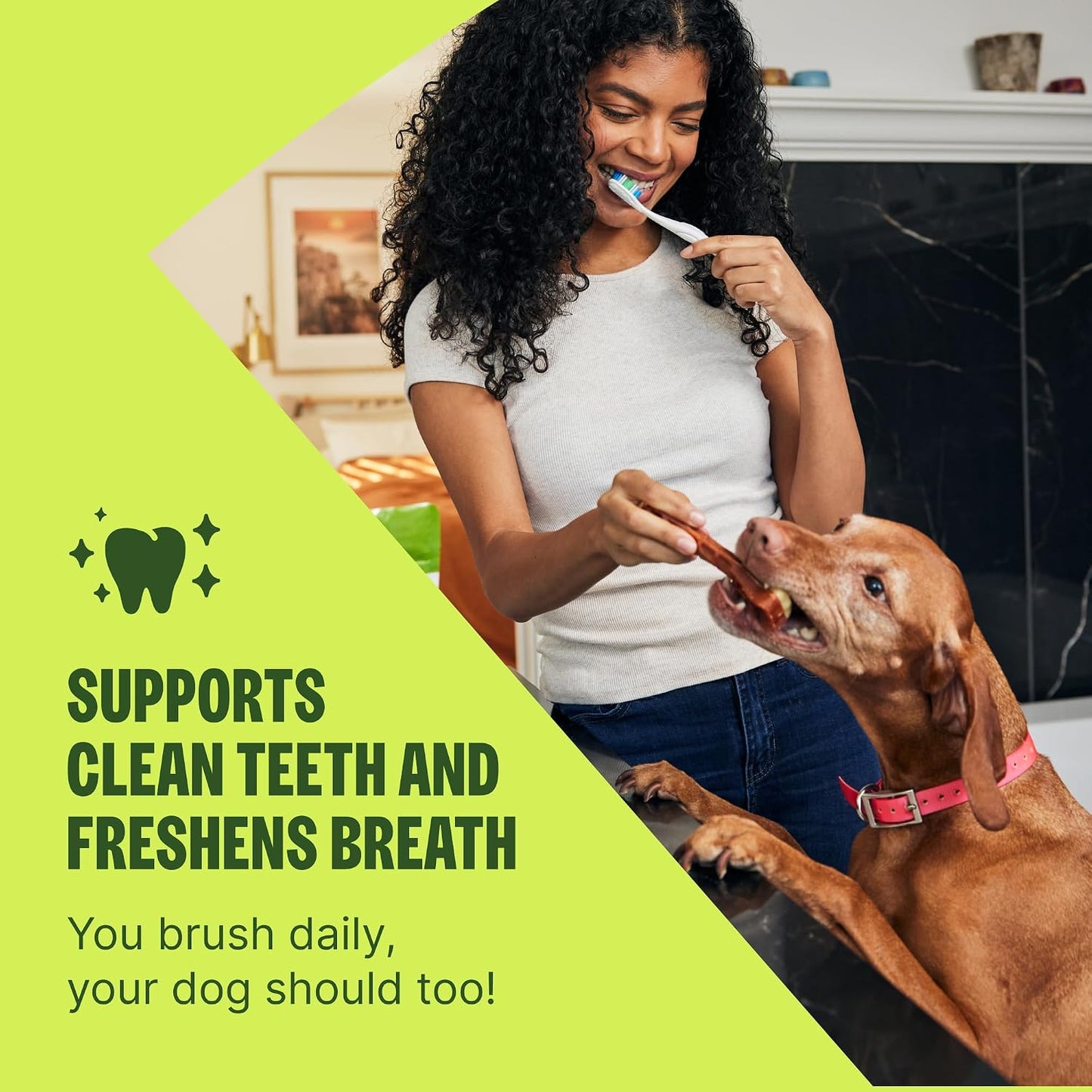 HOTWhimzees Wellness Brushzees Natural Dog Dental Treat, VOHC Accepted Chews, Freshens Breath, Extra-Small Size, 12.7 oz Bag, 48 Count