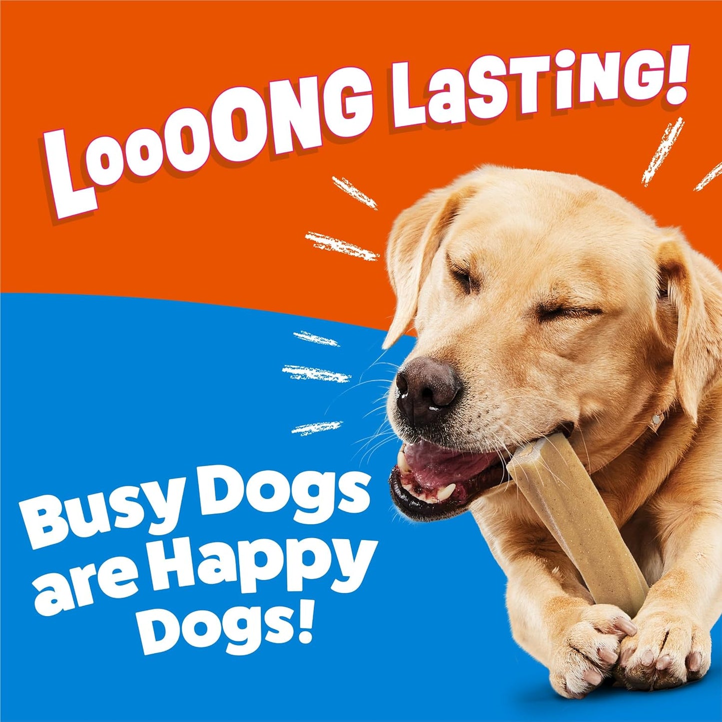 HOTPurina Busy Bone Adult Dog Chew Bone Treats, Peanut Butter - 10 ct. Pouch
