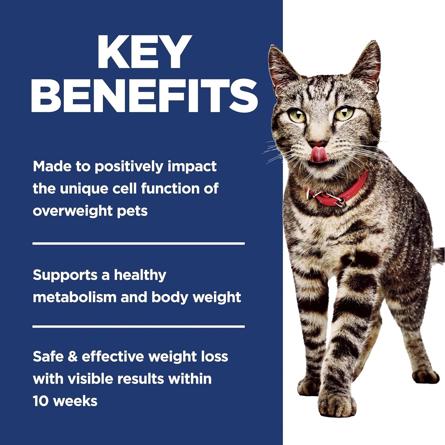 HOTHill's Science Diet Adult Perfect Weight Dry Cat Food, Chicken, 7 lb. Bag