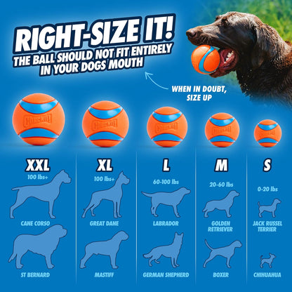 HOTChuckit! Ultra Ball Dog Toy - Medium Bouncy Fetch Balls For Dogs 20-60 lbs - Made from Durable Rubber - Floating Water Pet Toys - Size Medium - 2.5-inch Diameter - Pack of 4