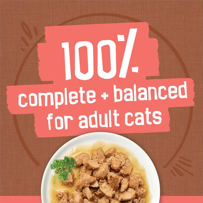 HOTPurina Friskies Extra Gravy Wet Cat Food Chunky 24ct Variety Pack (With Chicken, Turkey, Salmon, Beef) - (Pack of 24) 5.5 oz. Cans