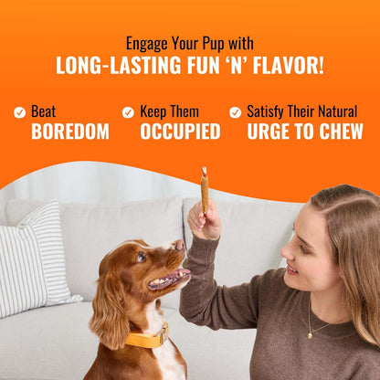 HOTGood 'n' Fun Rolls Long-Lasting Dog Treat, For Large Dogs, With Real Proteins, Beef Hide and Premium Chicken, Supports Dental Health, Mental Stimulation, 6 count