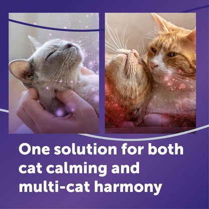 HOTFELIWAY Optimum Cat Calming Pheromone Diffuser Kit | Advanced Support to Help Reduce Urine Spraying, Scratching, Fighting & Hiding Due to Stress. 30-Day Diffuser Supply