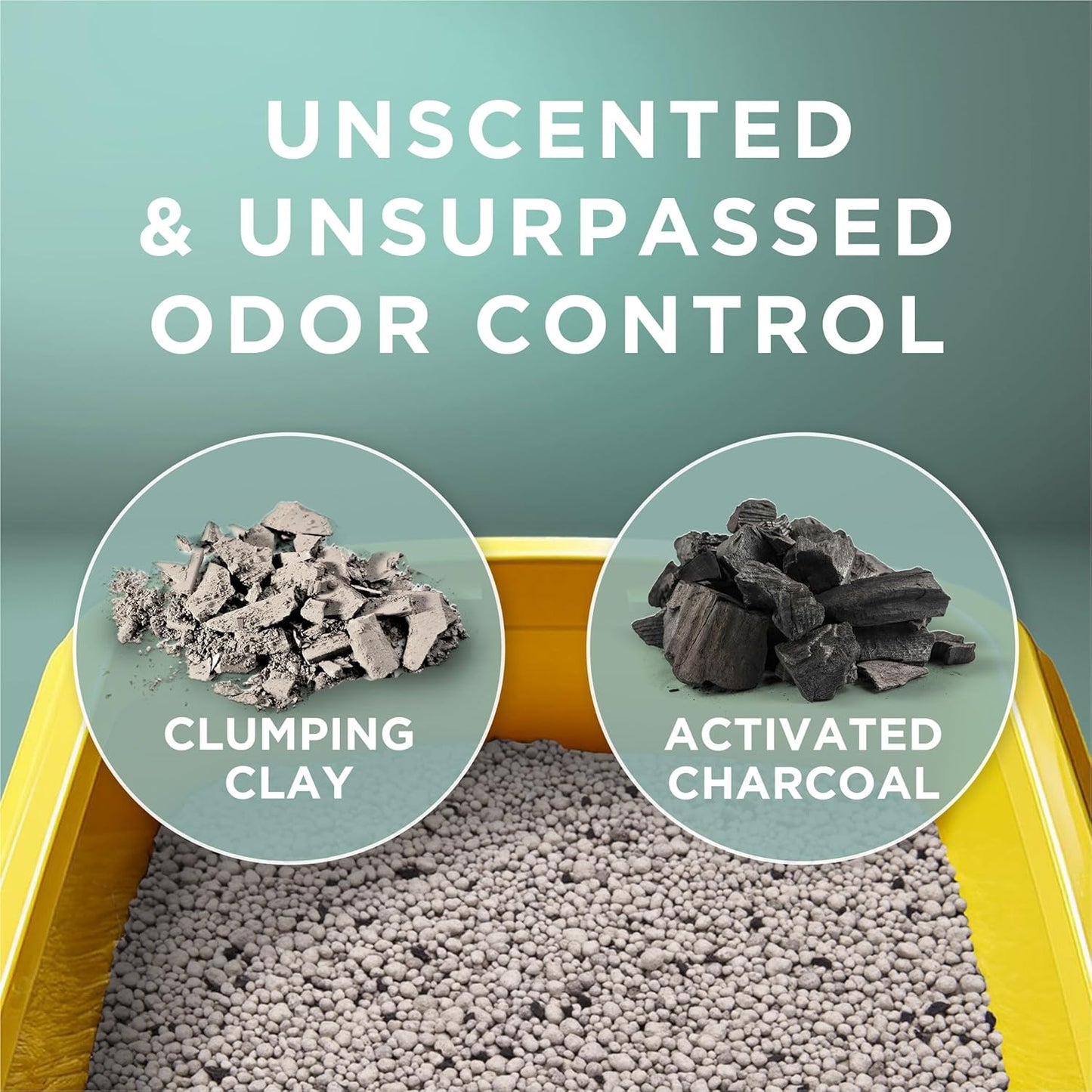 HOTPurina Tidy Cats Clumping Cat Litter Odor Control, Free and Clean Unscented Multi Cat Litter - 16 lb. Bag