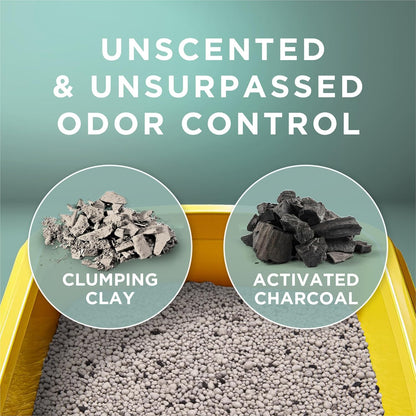 HOTPurina Tidy Cats Clumping Cat Litter Odor Control, Free and Clean Unscented Multi Cat Litter - 16 lb. Bag