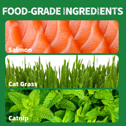 HOTJust Try Cat Treats for Indoor Cats Hairball Control Natural Salmon Healthy Cat Grass Treats Kitten Snacks Training Biscuits Catnip for Cats Dental Care 13.4 OZ