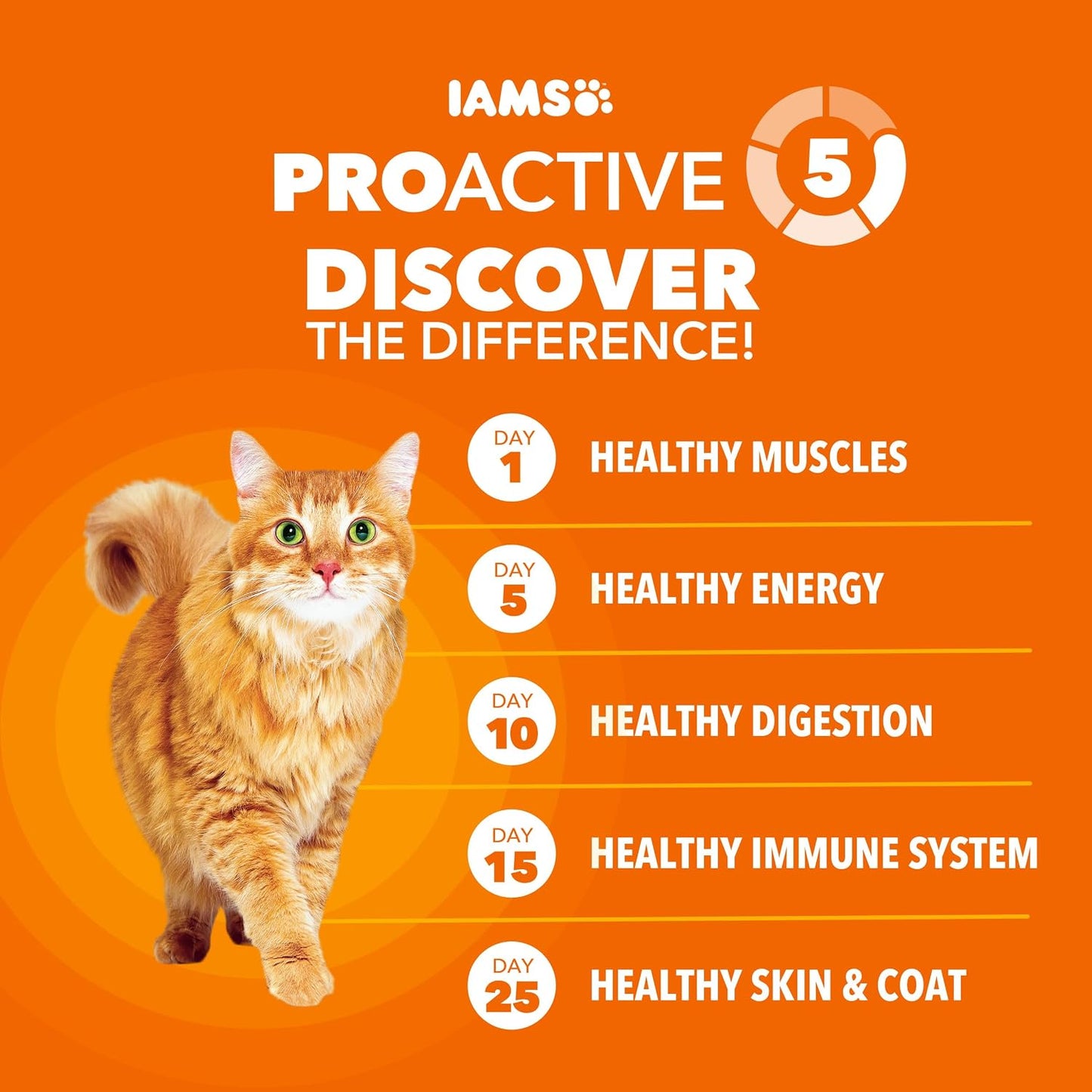 HOTIAMS Proactive Health Healthy Adult Dry Cat Food, Chicken, 22 lb | Veterinarian-recommended, Real chicken #1 ingredient, chicken & egg protein, wholesome grains for energy, supports muscles
