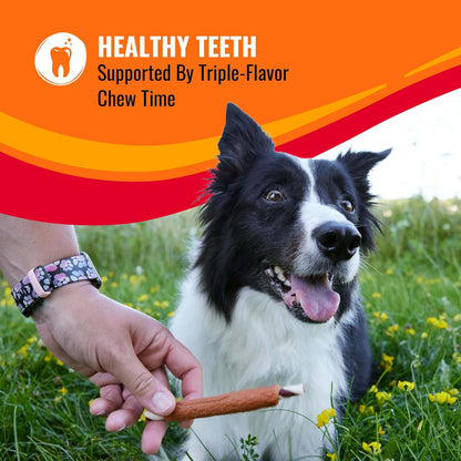 HOTGood 'n' Fun Rolls Long-Lasting Dog Treat, For Large Dogs, With Real Proteins, Beef Hide and Premium Chicken, Supports Dental Health, Mental Stimulation, 6 count