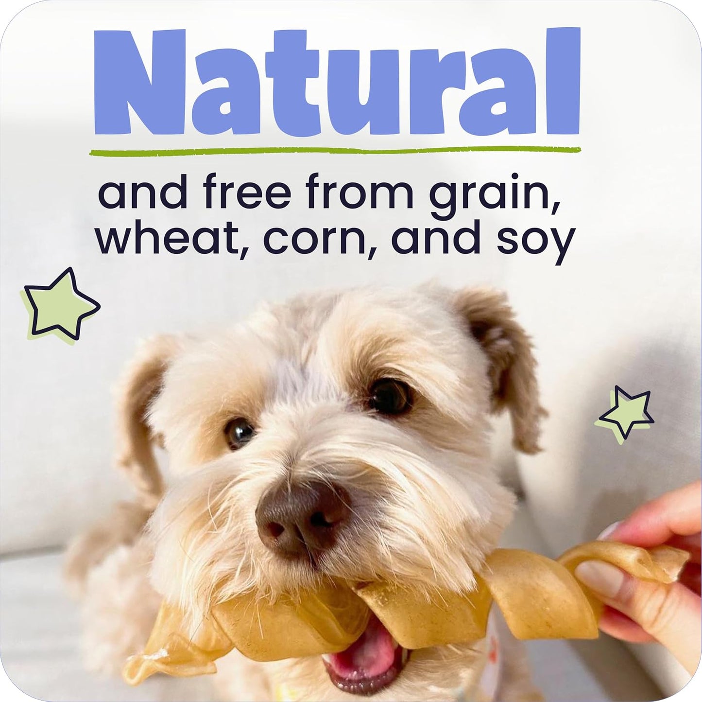 HOTPawstruck Natural Large 12" Beef Collagen Sticks for Dogs – Long-Lasting Rawhide Alternative, High Protein Treats with Chondroitin & Glucosamine – 5 Pack