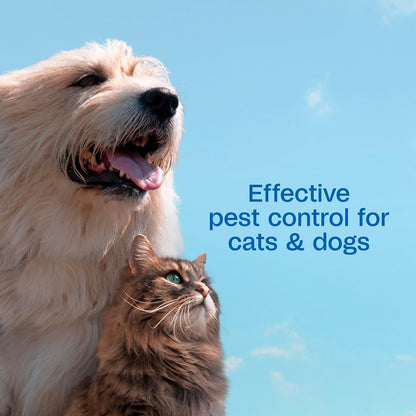 HOTADAMS Plus Flea & Tick Shampoo with Precor for Dogs, Cats, Puppies & Kittens, Flea Shampoo to Treat Infestations, Kills Ticks, Fleas, Flea Eggs & Lice, Cleans and Conditions Coat, 12 Ounces