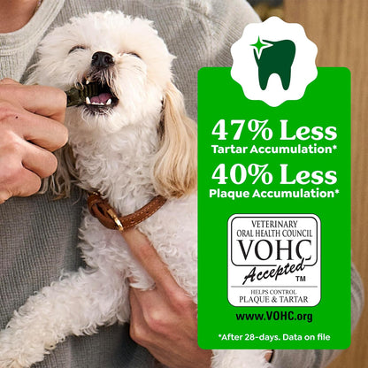 HOTGreenies Petite Natural Dental Dog Treats, Original Flavor, 60 Count | Original Flavor, 47% less tartar, freshens breath, natural ingredients, vitamins & minerals, for dogs 15-25 lbs, 36 oz. Pack