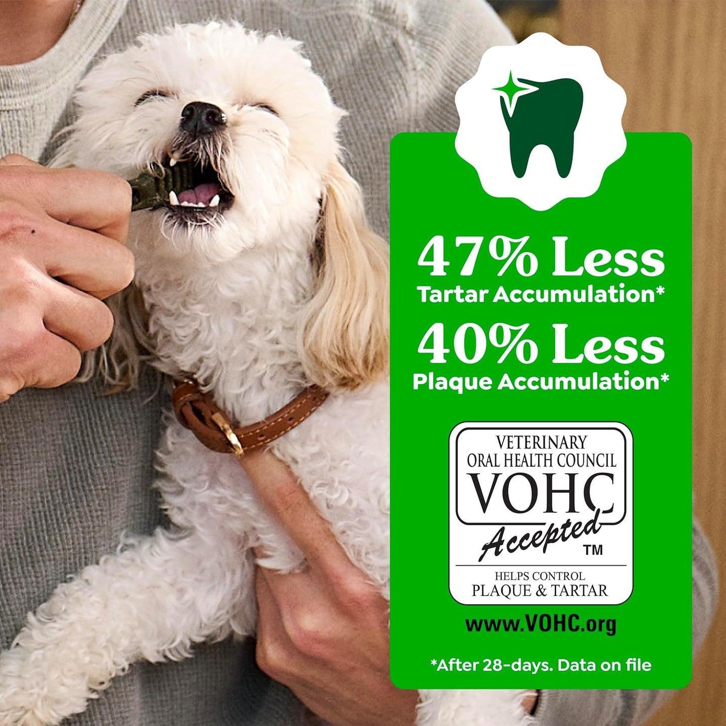 HOTGreenies Regular Dental Dog Treats, Original Chicken Flavor, 36 Count | Clinically-proven, veterinarian-recommended, 47% less tartar & 40% less plaque in 28 days, for dogs 25-50 lbs, 36 oz. Pack