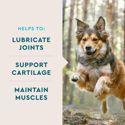HOTVetIQ Glucosamine Hip & Joint Supplement for Dogs, 180 Soft Chews, Joint Support Supplement with MSM and Krill, Dog Health Supplies Large & Small Breed, Chicken Flavored Chewables | Supports mobility for large & small breeds; glucosamine, MSM & krill o
