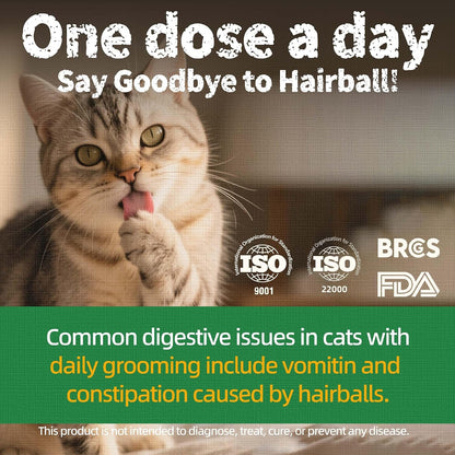 HOTJust Try Cat Treats for Indoor Cats Hairball Control Natural Salmon Healthy Cat Grass Treats Kitten Snacks Training Biscuits Catnip for Cats Dental Care 13.4 OZ