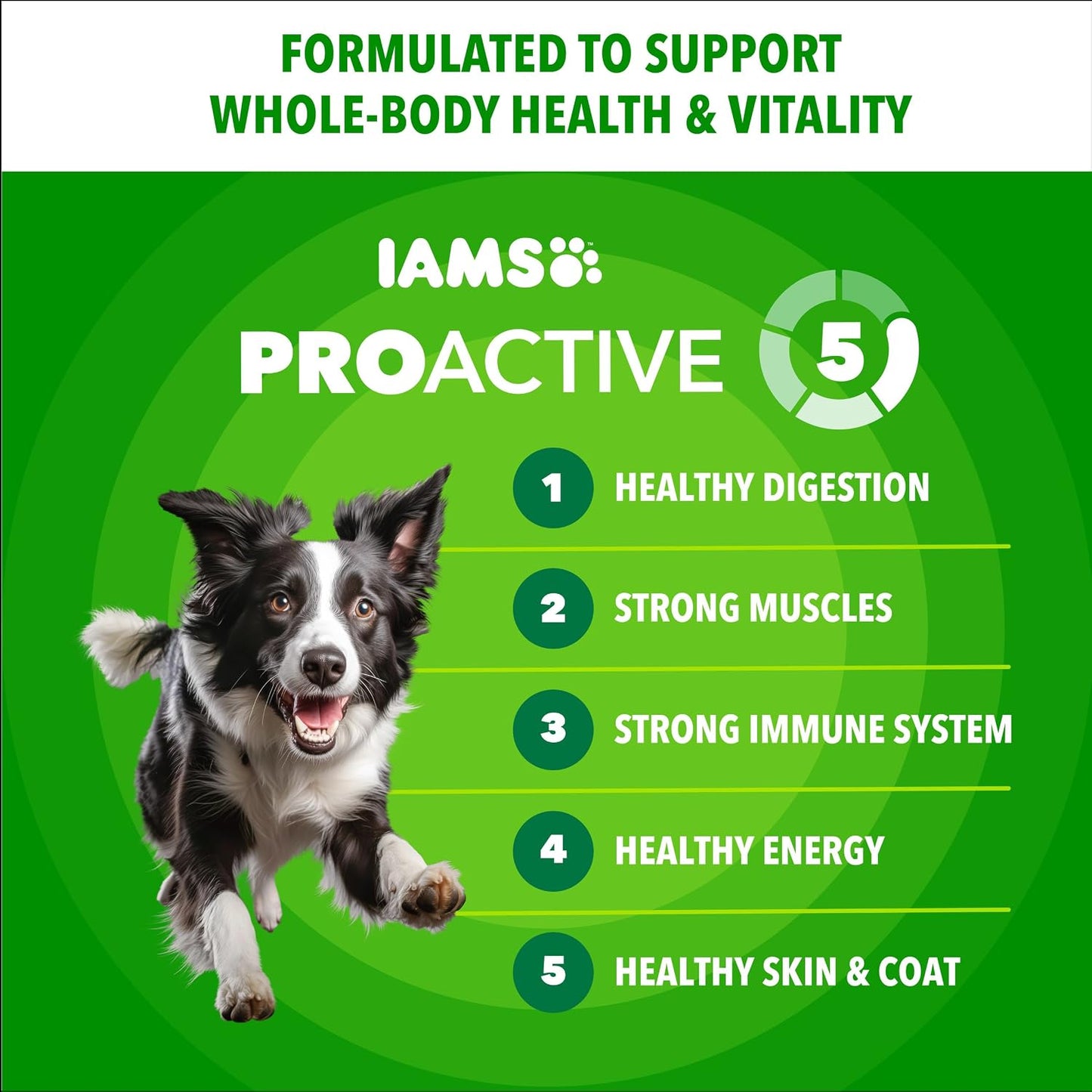 HOTIAMS Proactive Health Adult Minichunks Dry Dog Food, Chicken, 30 lb | Real chicken #1 ingredient, no fillers, natural fiber & prebiotics, Omega-6 fatty acids, antioxidants for immune support