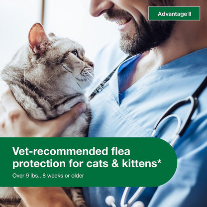HOTII Large Cat Vet-Recommended Flea Treatment & Prevention | Cats Over 9 lbs. | 4-Month Supply