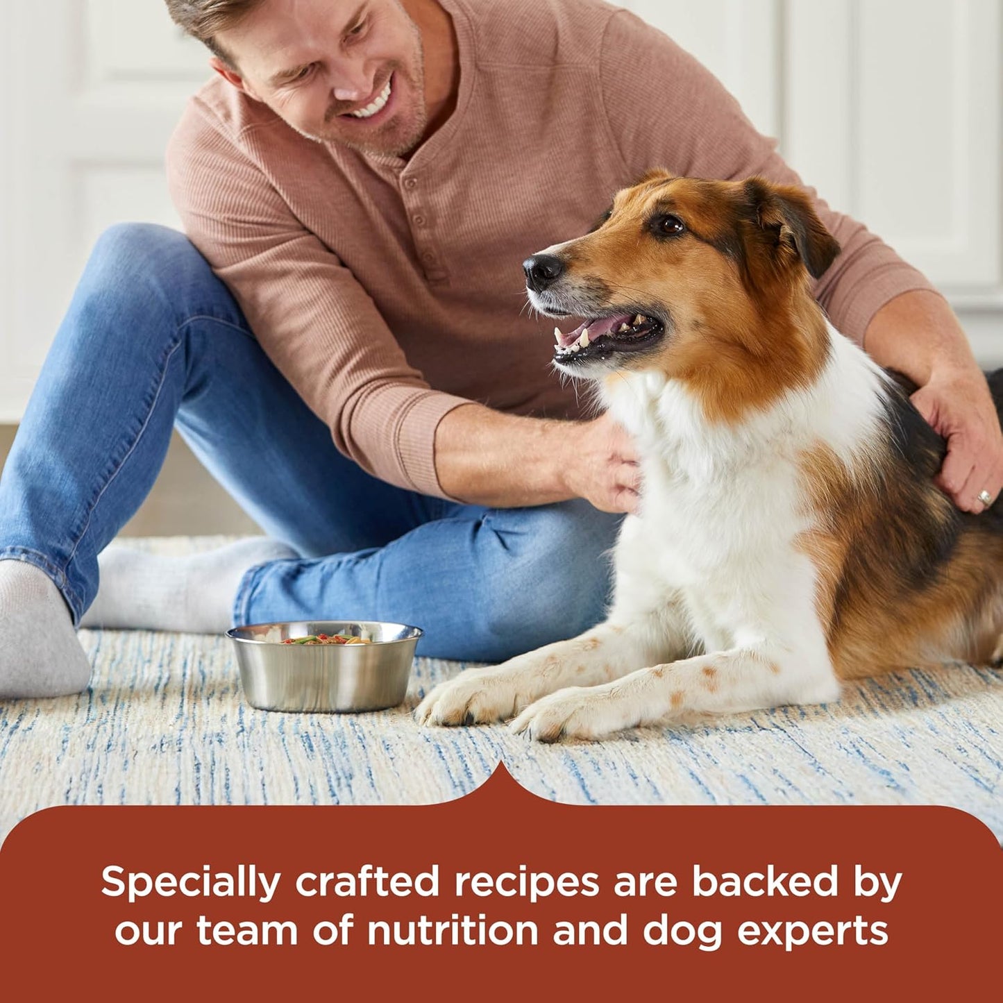 HOTNutrish Savory Favorites Wet Dog Food Variety Pack, 8 oz Tubs (Rachael Ray) | Pack of 6, Includes 3 Delicious Flavors of Chicken Paw Pie, Hearty Beef Stew & Savory Lamb Stew, No Artificial Flavors