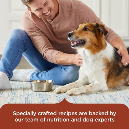 HOTNutrish Savory Favorites Wet Dog Food Variety Pack, 8 oz Tubs (Rachael Ray) | Pack of 6, Includes 3 Delicious Flavors of Chicken Paw Pie, Hearty Beef Stew & Savory Lamb Stew, No Artificial Flavors