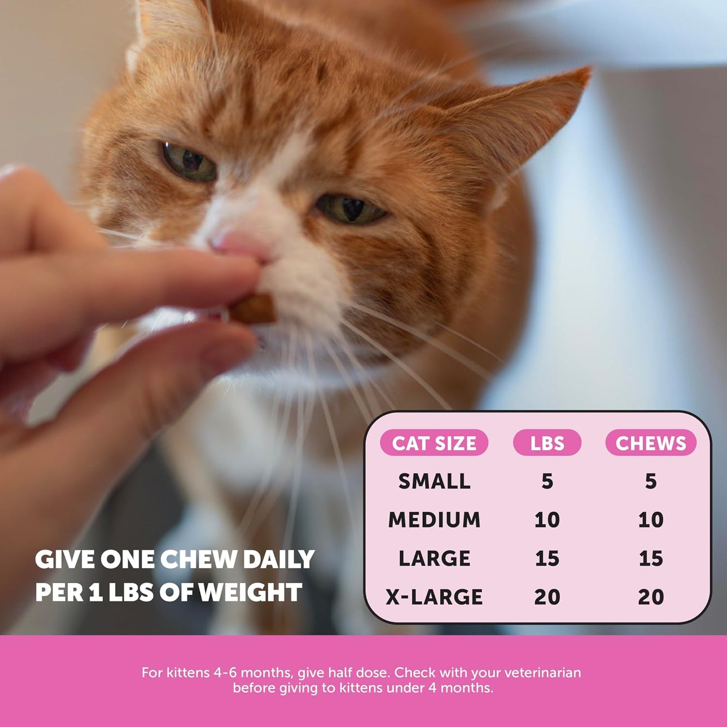 HOTCat Multivitamin Crunchy Creamy Chews - Daily Cat Vitamins with Lysine, Prebiotics, Omega 3 Fish Oil - Cat Treats for Immune Support, Skin Coat, Digestion, Heart + Joint Health (30-Day Supply)