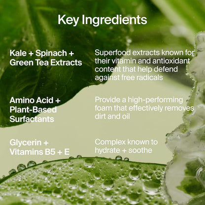 HOTYouth To The People Superfood Facial Cleanser - Kale + Green Tea Daily Face Wash, Gently Removes Makeup, SPF, and Oils, Soothing Antioxidants for Glowing Skin, pH Balance, Clean Pores, Refillable
