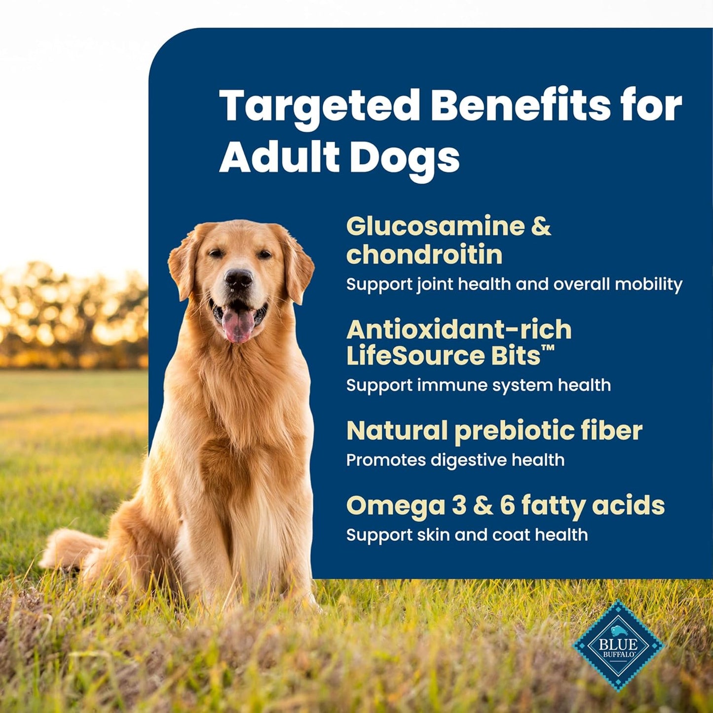 HOTBlue Buffalo Life Protection Formula Chicken Adult Dry Dog Food, 15 lb | Real Chicken #1 Ingredient, Supports Immunity with Antioxidant-Rich LifeSource Bits, Promotes Healthy Muscle Development
