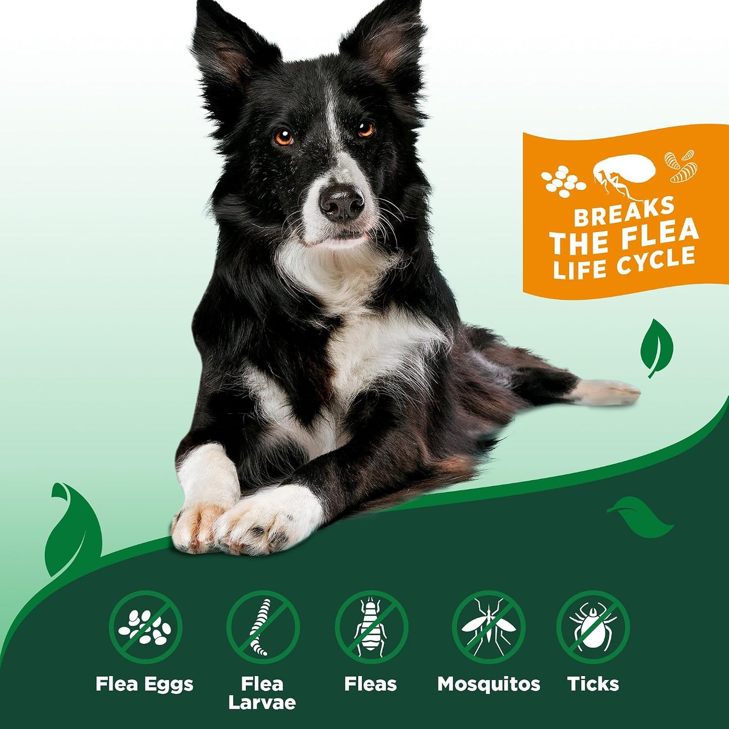 HOTVet’s Best Indoor Flea and Tick Spray – Dog Flea and Tick Treatment for Home, Plant-Based Formula with Natural Oils, Kills Fleas, Eggs & Ticks on Contact, Made in USA, 32 oz | Plant-Based Flea & Tick Spray, Kills Fleas, Eggs & Ticks on Contact, Natural