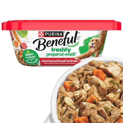 HOTPurina Beneful Gravy Wet Dog Food Variety Pack, Prepared Meals Stew - (12) 10 oz. Tubs