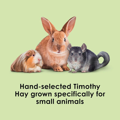 HOTKaytee Timothy Hay, High Fiber, Grown Specifically for Small Animals, Rabbits, Guinea Pigs, Chinchillas, Ideal Bulk Order for Small Pets, 3 Pounds
