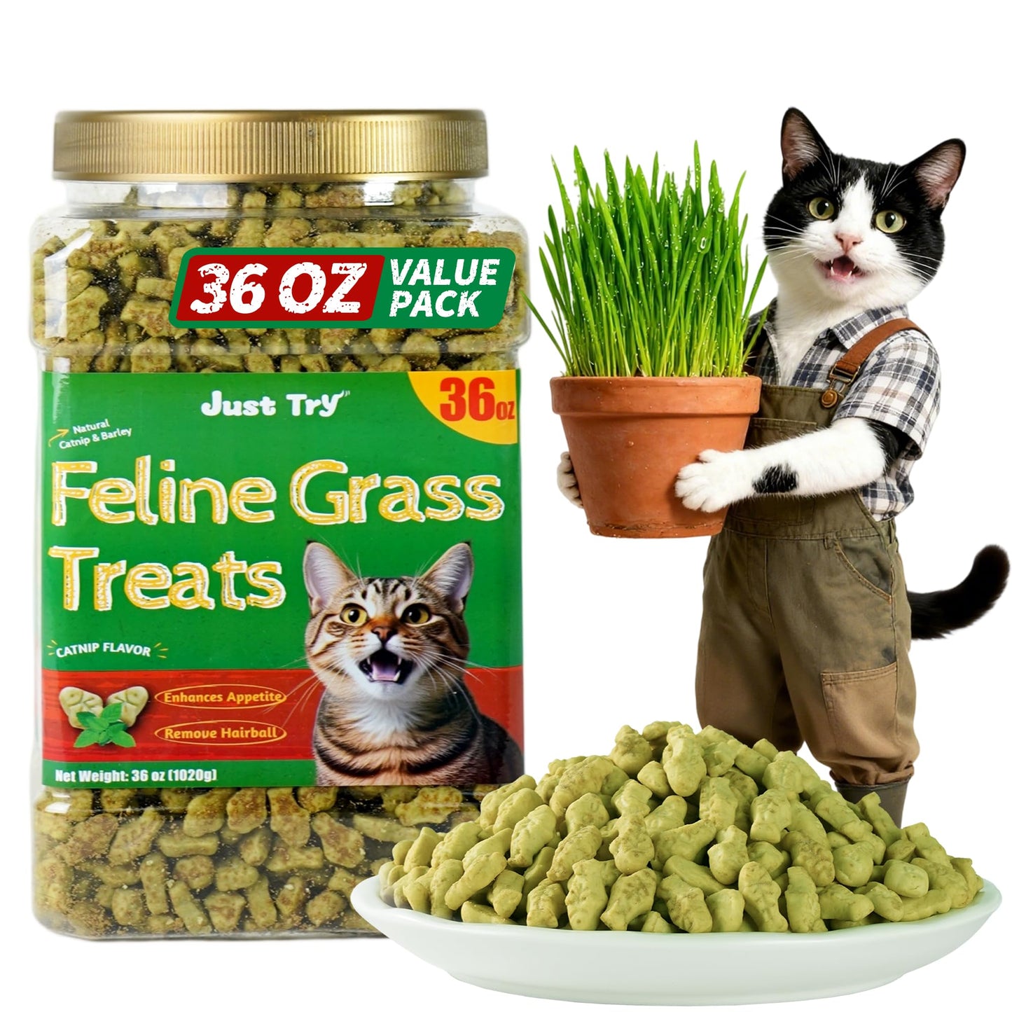 HOTJust Try Cat Treats for Indoor Cats Hairball Control Natural Salmon Healthy Cat Grass Treats Kitten Snacks Training Biscuits Catnip for Cats Dental Care 13.4 OZ
