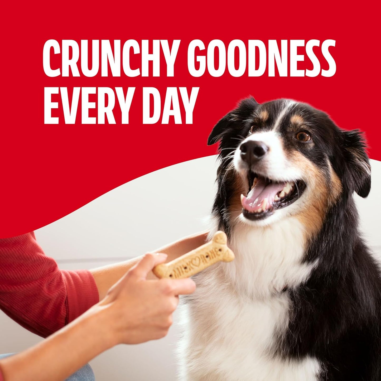 HOTMilk-Bone Crunchy Large Dog Treats, 10 Lb. Box, Original Beef Flavor