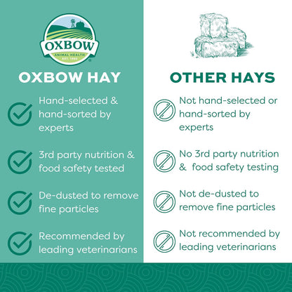 HOTOxbow Western Timothy Hay for Small Pets – All-Natural Grass Hay for Rabbits, Guinea Pigs, and Chinchillas – High Fiber for Digestive Health and Dental Support – 40 oz Bag