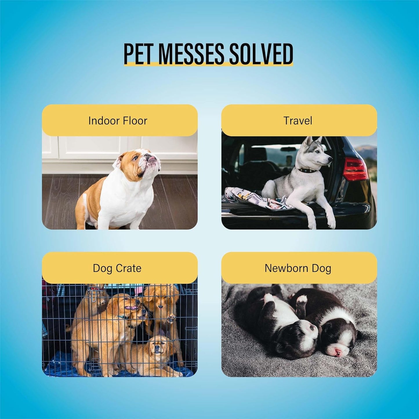 HOTCOCOYO Best Value Training Pads, 22" x 22", 100 Count, White & Blue Puppy Pads