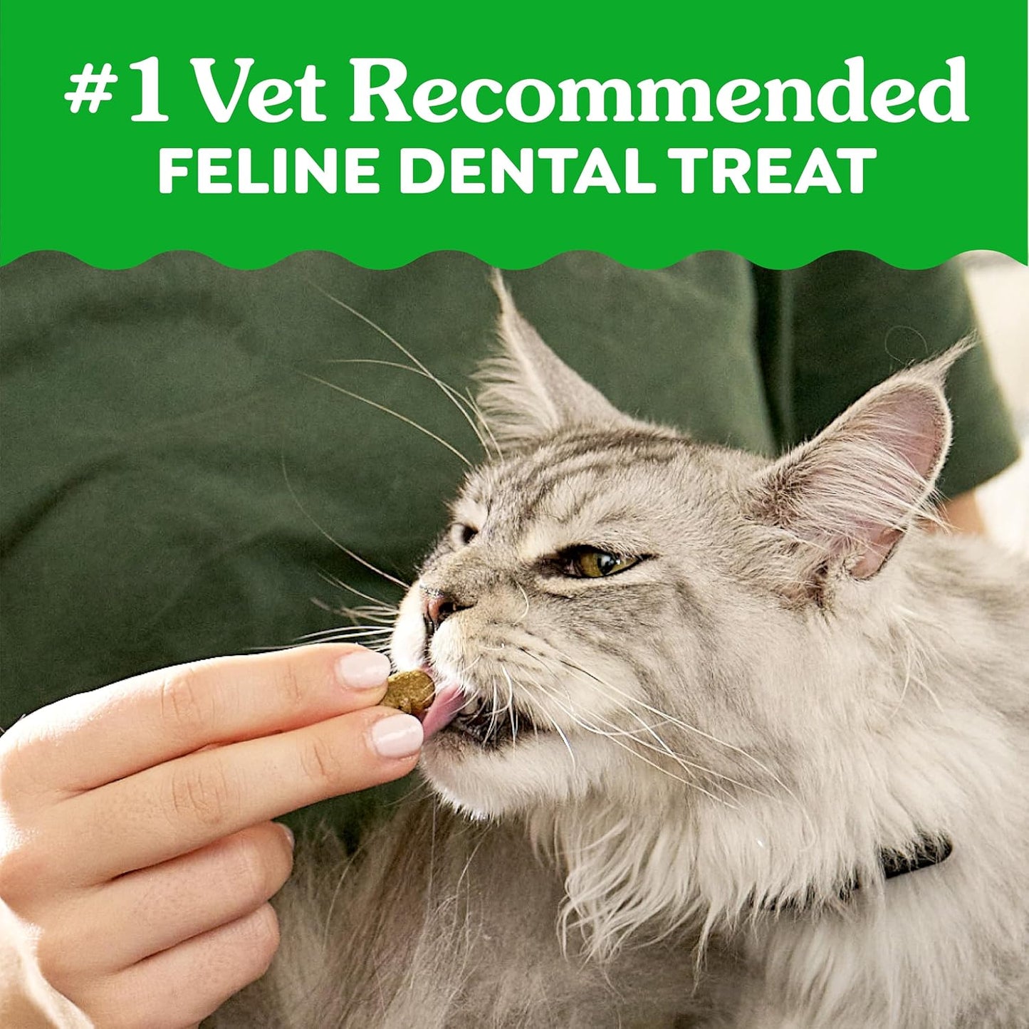 HOTGreenies Feline Natural Dental Cat Treats, Roasted Chicken Flavor, 21 oz | #1 vet-recommended, 36% less tartar in 28 days, cleans to gumline, under 2 calories per treat, natural ingredients