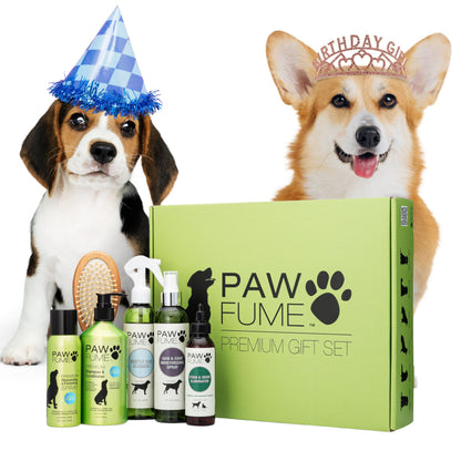 HOTPAWFUME Dog Perfume Spray Long Lasting Scent for Grooming, Show Dog, 1-Pack – Keep Your Pup Fresh All Day – Hypoallergenic, Alcohol-Free, Detangling Formula – Moisturizing Pet Cologne Spray for Dogs