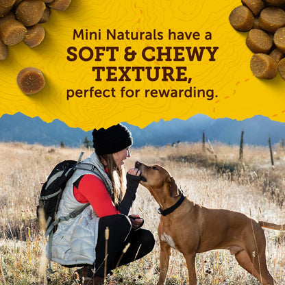 HOTZuke’s Mini Naturals Dog Training Treats for Dogs, Pet Treats Made with Real Peanut Butter- 16 oz. Bag