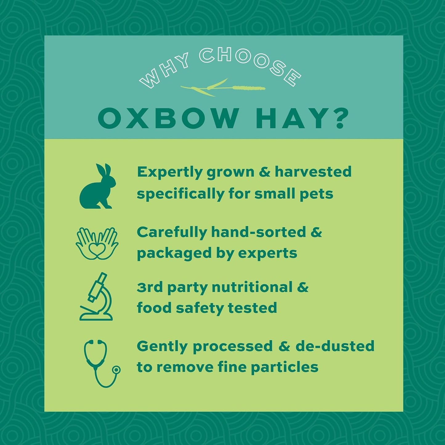 HOTOxbow Western Timothy Hay, Rabbit & Guinea Pig Hay, High Fiber, USA, 90 oz | Oxbow Timothy Hay, Bunny Hay For Rabbits, Guinea Pigs, Bunnies and Chinchillas, Hand-Sorted, De-Dusted, Made in USA