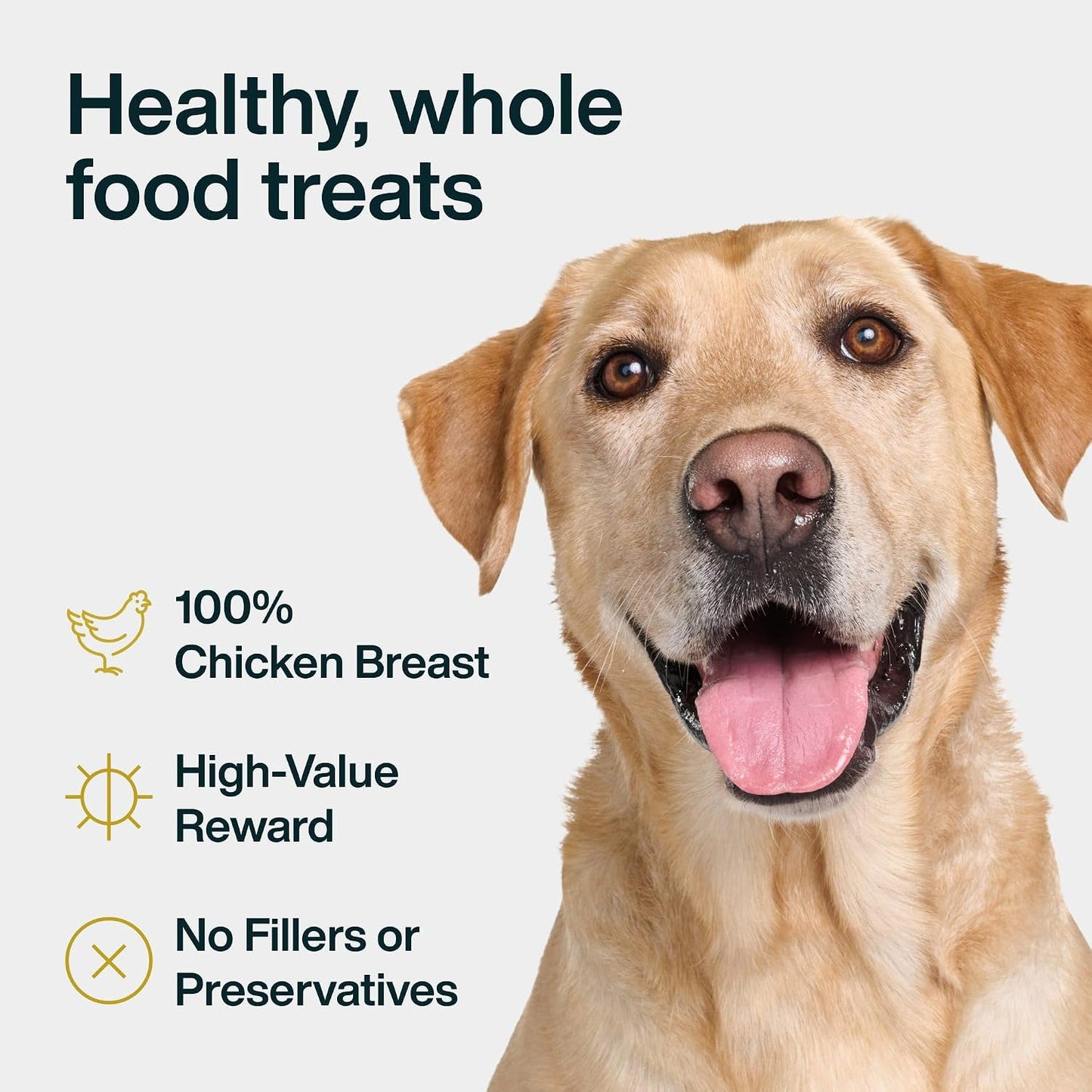 HOTJust Food for Dogs Single Ingredient Healthy Dog Treats and Dog Snacks, Jerky Treats, Human Grade, Preservative and Grain Free, Rawhide Free Chews, Low Calorie Treat - Chicken Breast, 5 oz