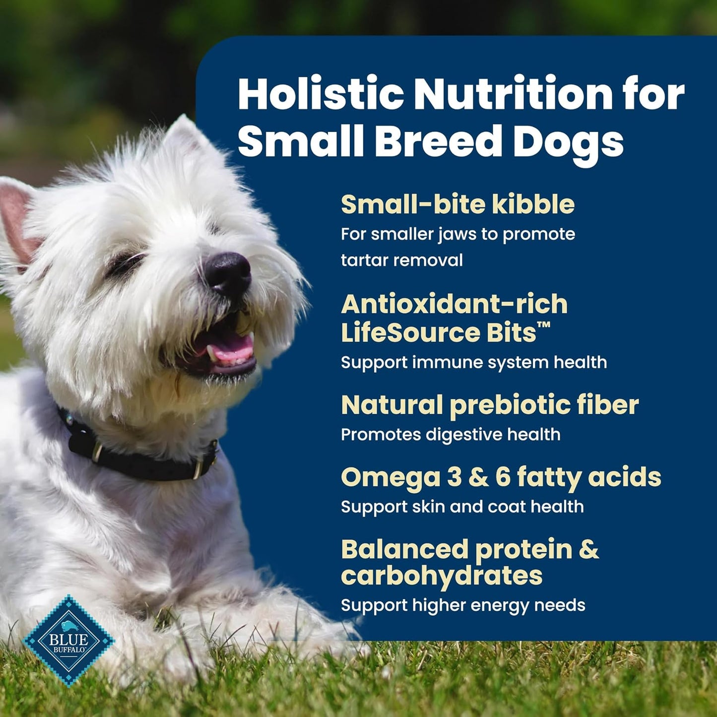 HOTBlue Buffalo Life Protection Formula Chicken Small Breed Dry Dog Food, 15lb | Real Chicken #1 Ingredient, Antioxidant-Rich LifeSource Bits, Supports Higher Energy Needs, Formulated for Small Breed Dogs