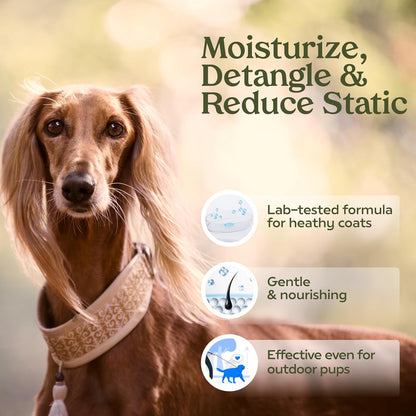 HOTPAWFUME Dog Perfume Spray Long Lasting Scent for Grooming, Show Dog, 1-Pack – Keep Your Pup Fresh All Day – Hypoallergenic, Alcohol-Free, Detangling Formula – Moisturizing Pet Cologne Spray for Dogs